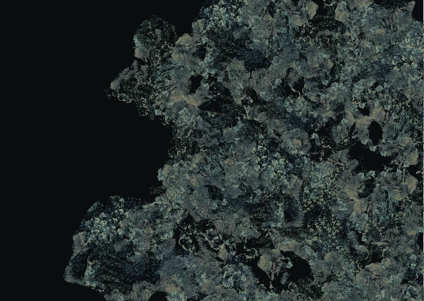 Arkology Studio Blog