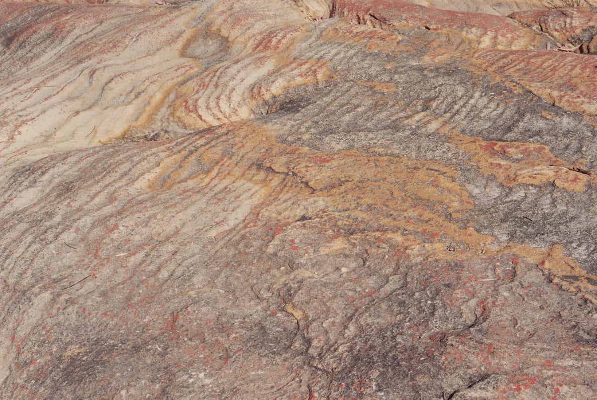 Designing Coherent Interfaces Between Cybernetic Systems and Socio-Technical Organisms