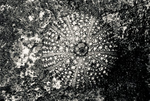 From Prompts to Habitats: 3 principles for effective agents